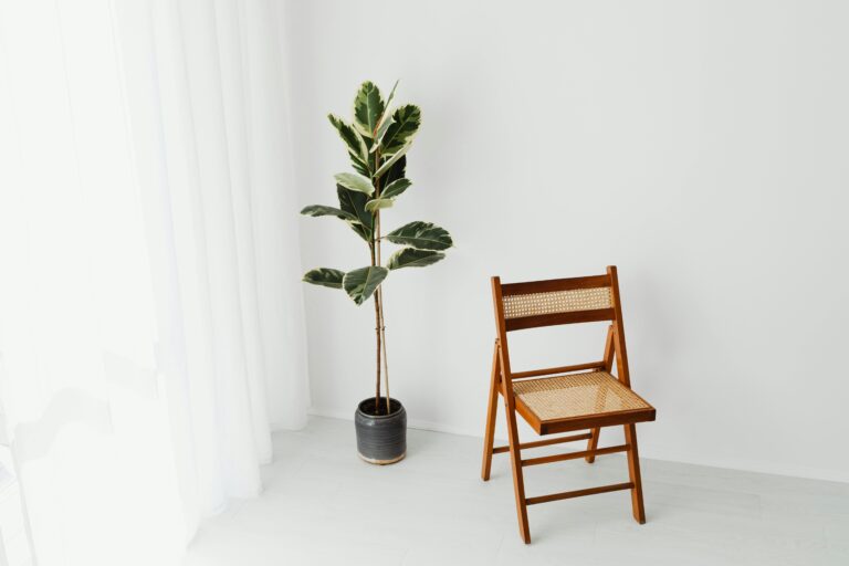 A modern interior featuring a wooden folding chair and a potted plant with white decor.